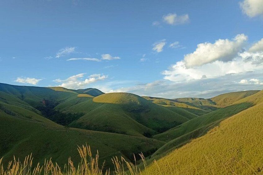 Rolling green hills under a clear sky. 4