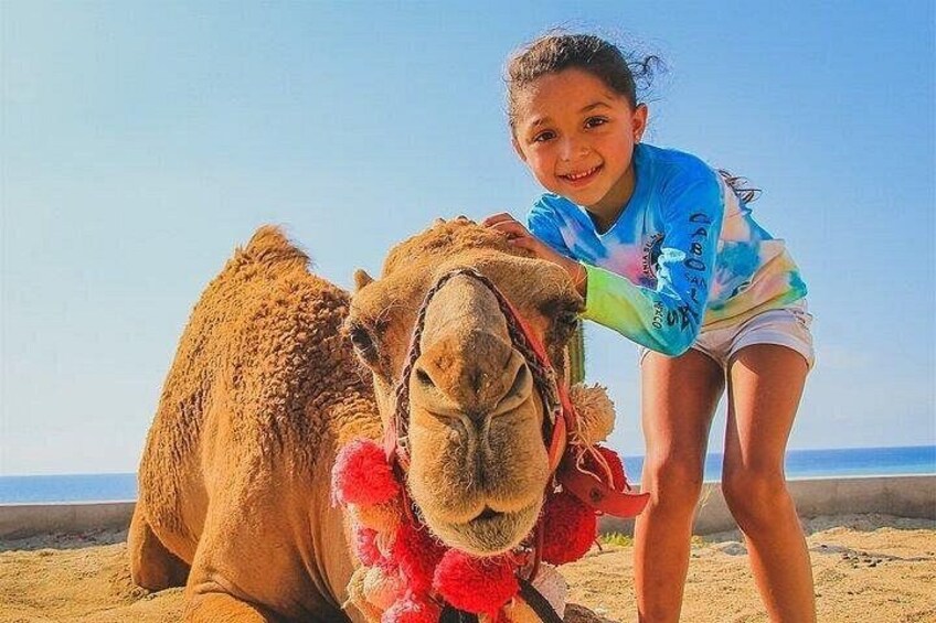 A camel with a red accessory on its head, a person in a blue and white outfit, and a sandy beach with the ocean in the background. 3