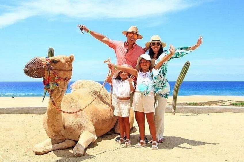 A family with a camel on a beach, a cactus, and the ocean in the background. 2