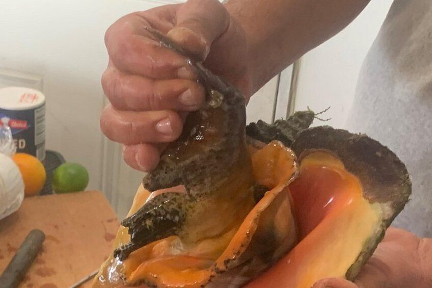 Taste Tour and Capture Nassau Island Experience with Photos 1