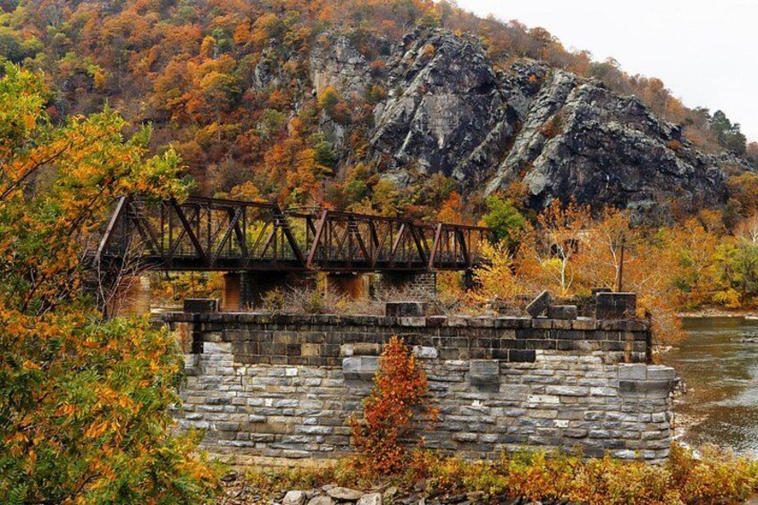 The National Park is full of forest that is home to diverse flora and fauna, including black bears, beavers, and eagles. 2