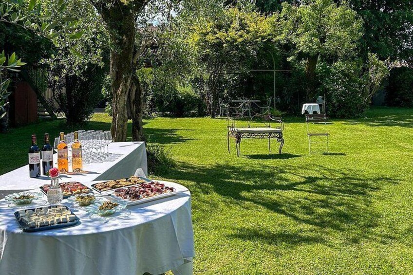 Wine Tour and Tasting In San Felice Del Benaco 2
