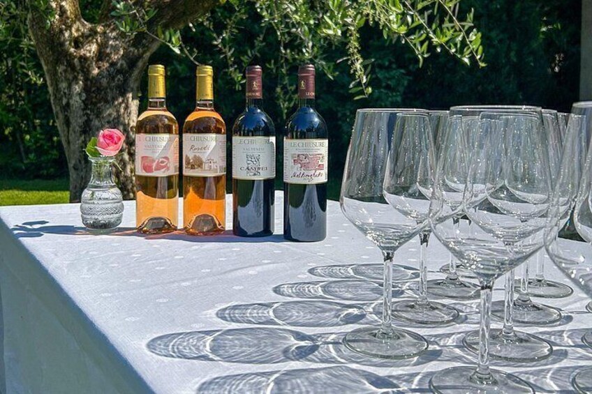 Wine Tour and Tasting In San Felice Del Benaco 3