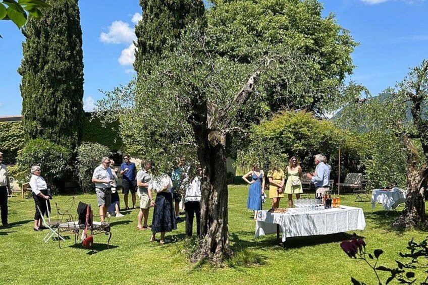 Wine Tour and Tasting In San Felice Del Benaco 1