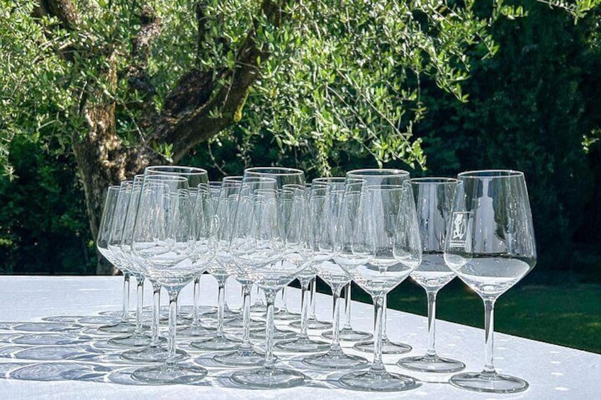 Wine Tour and Tasting In San Felice Del Benaco 2