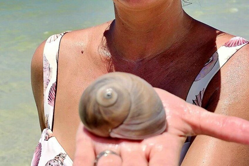 A person holding a snail. 3