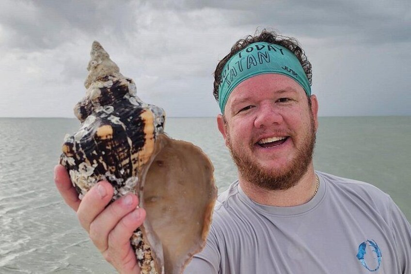 A person holding a large shell with a headband. 1