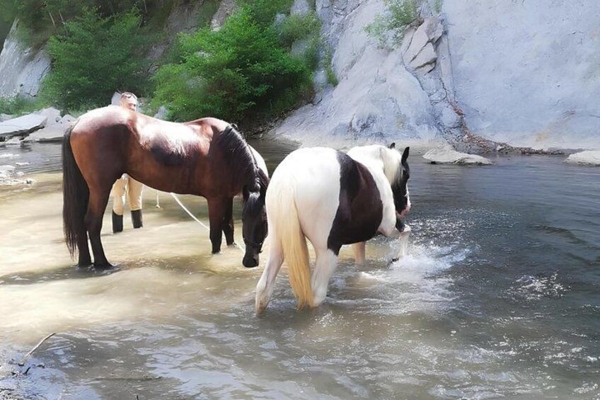 Tuscany Horseback Riding Experience in Buonconvento 2