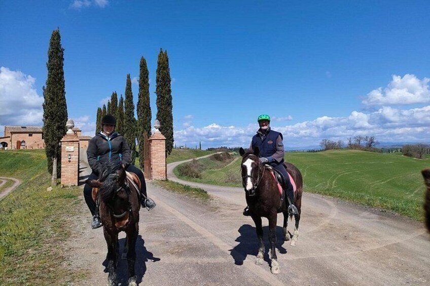 Two people riding horses on a rural road with a building and tall trees in the background. 3