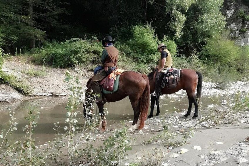 Tuscany Horseback Riding Experience in Buonconvento 4