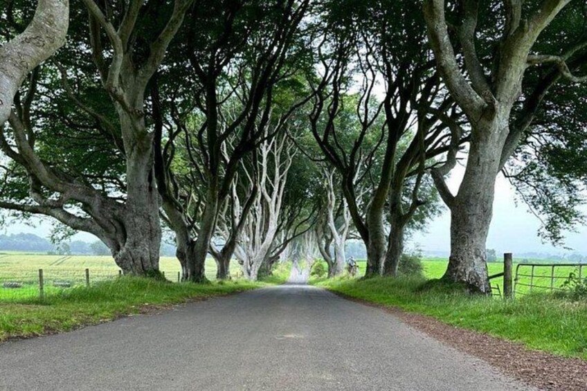 Private Luxury Small Group Giant’s Causeway Tour from Belfast 2