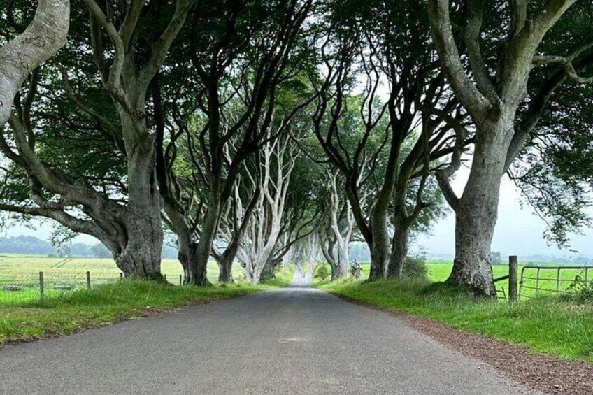 Private Luxury Small Group Giant’s Causeway Tour from Belfast 3