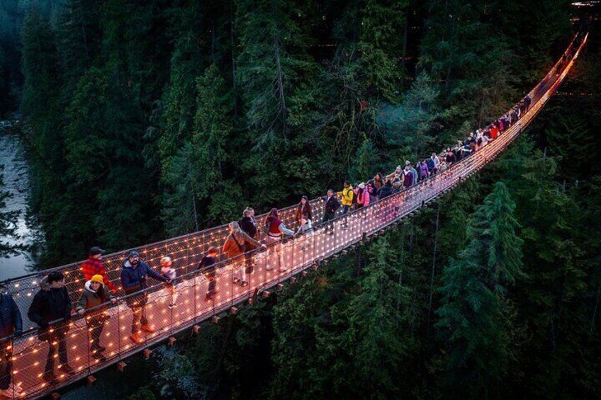 A suspension bridge with people walking across it, surrounded by dense forest. 1