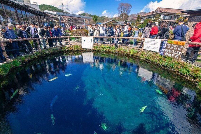 From Tokyo:Mount Fuji Lake Kawaguchi, Oshino Hakkai,Shrine Tour 3