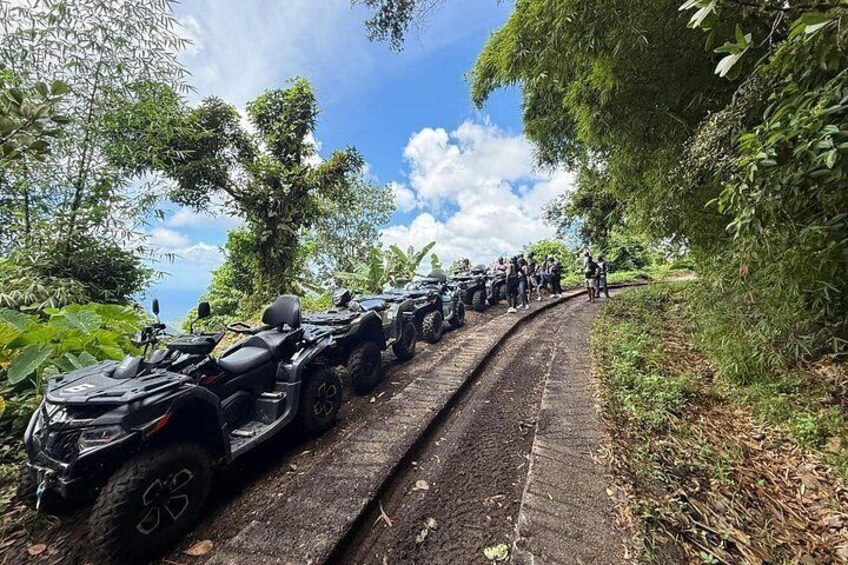ATV Rainforest Adventure in St. Lucia 2