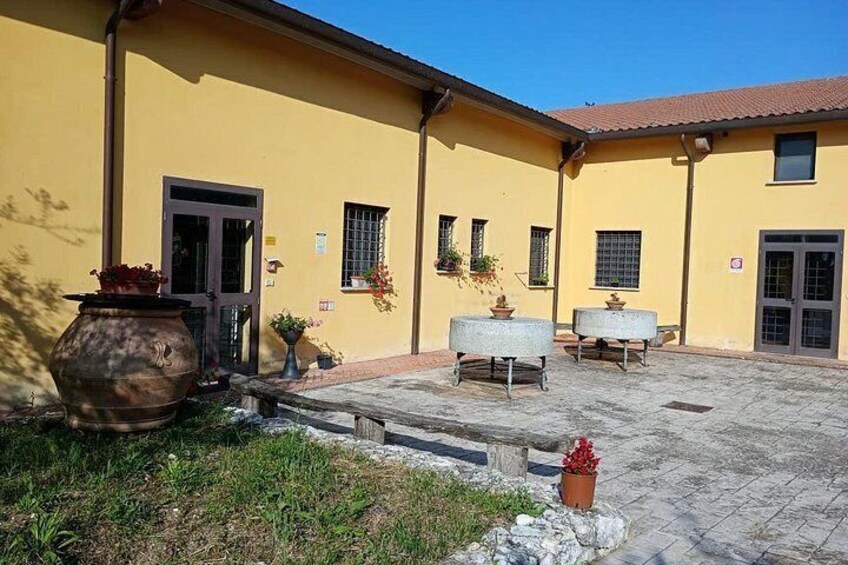 Umbria: Guided tour to Traditional Olive Oil Mill and Tasting 2