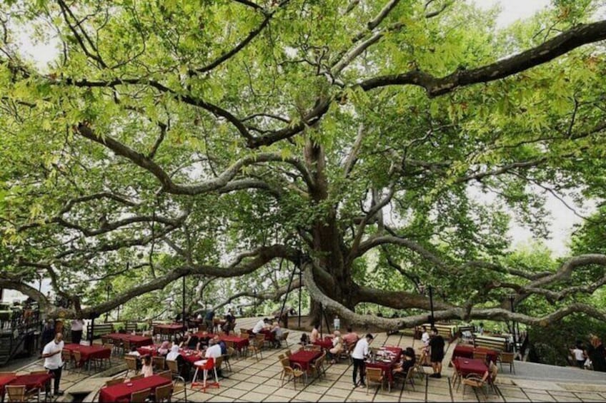 Green Bursa Shared Tour with Cable car 4