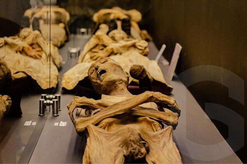 A display of human skulls arranged on a table. 5