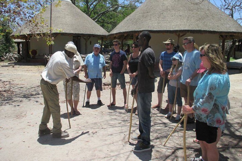 Full-Day Safari in Senegal from Banjul 3