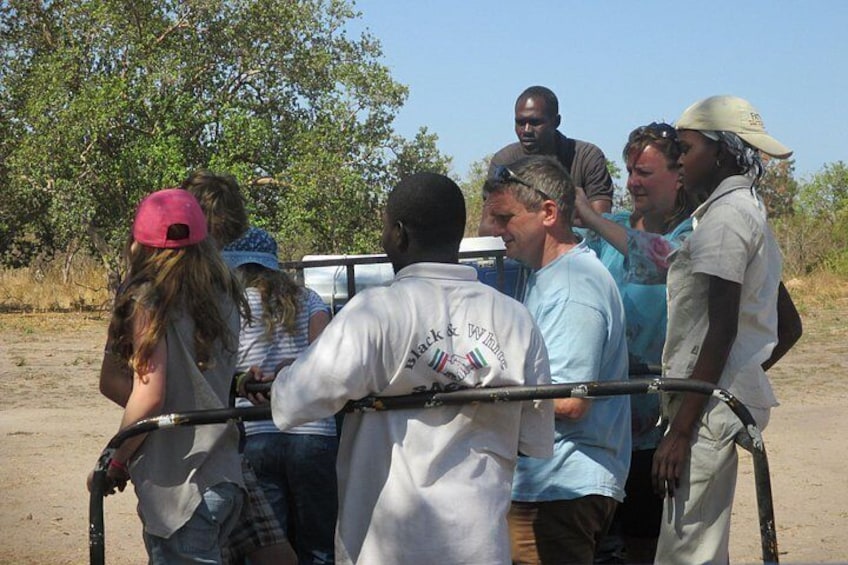 Full-Day Safari in Senegal from Banjul 4