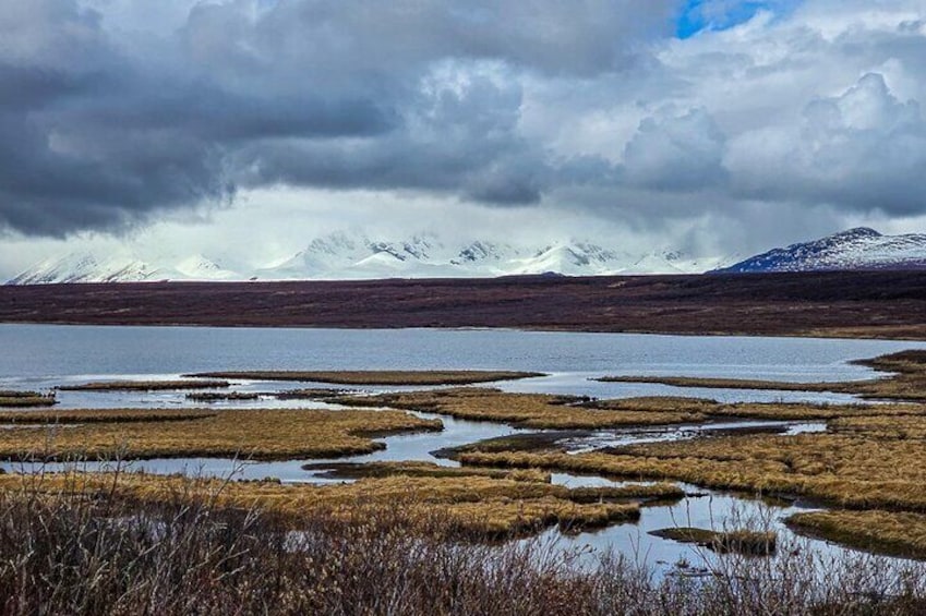 A landscape with a lake, marshy areas, and snow-capped mountains in the background. 2