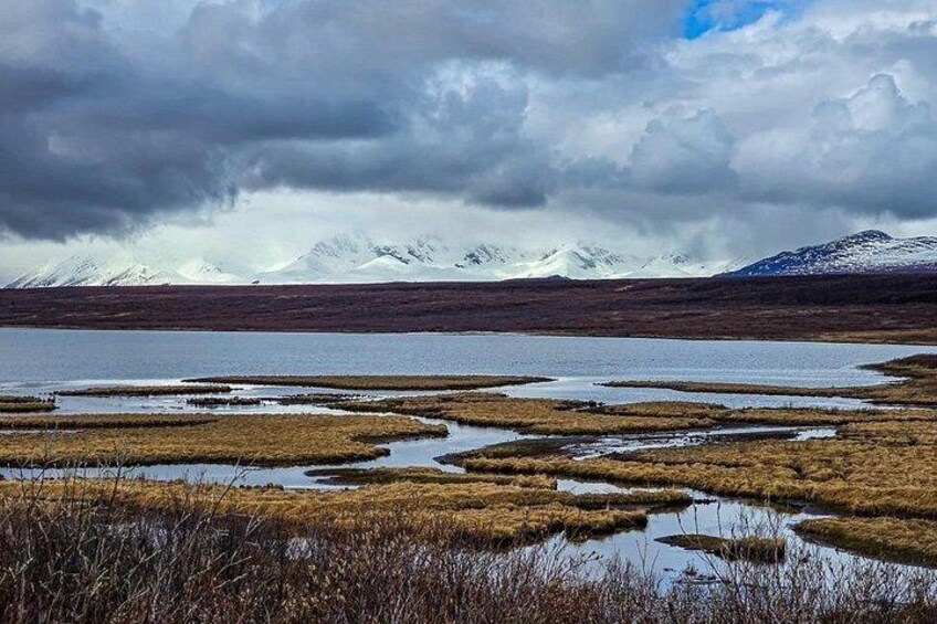 Denali Highway Overnight Excursion 2