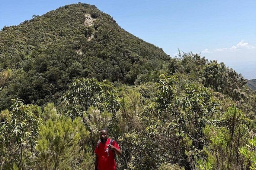 Un escursionista con una maglietta rossa cammina su un sentiero, circondato da vegetazione fitta e una collina sullo sfondo. 3