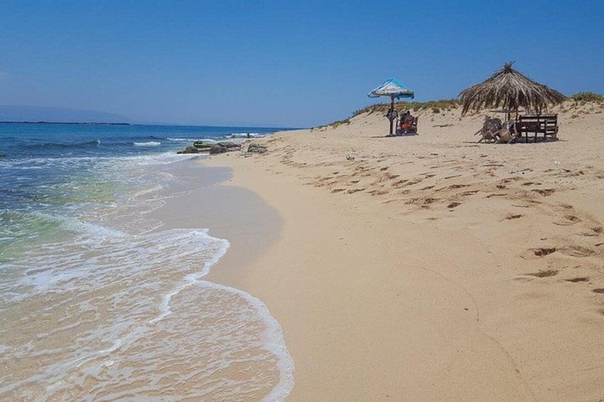A sandy beach with waves, a thatched hut, and a beach umbrella. 4