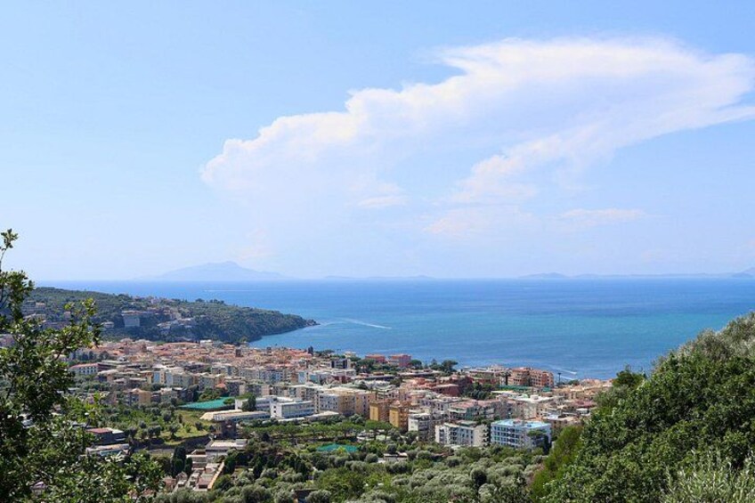 Sorrento: Farm Tour with Tasting and Picking 5