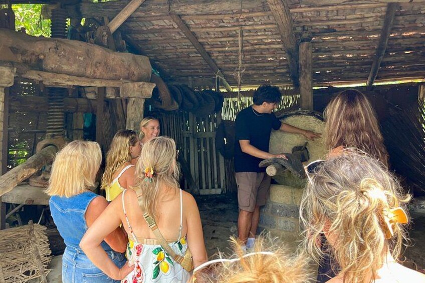 Sorrento: Farm Tour with Tasting and Picking 5