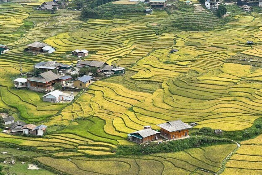 Terraced rice fields with houses nestled among them. 2