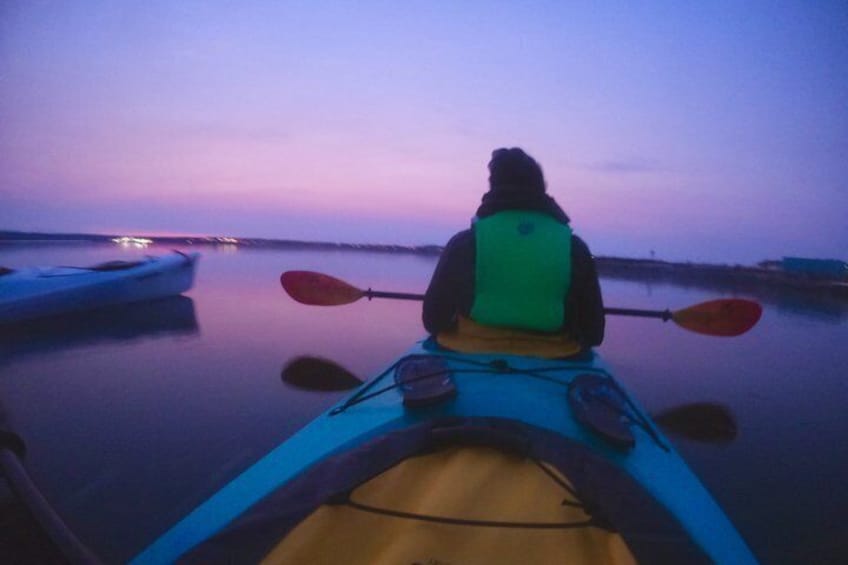 Sunset and Wildlife Kayak Tour: Port Townsend, WA 2