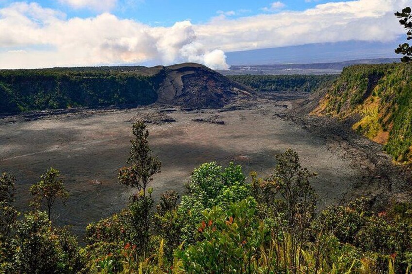 Hilo Shore Excursion: Punaluu Black Sand Beach, Volcano, & Hilo 5