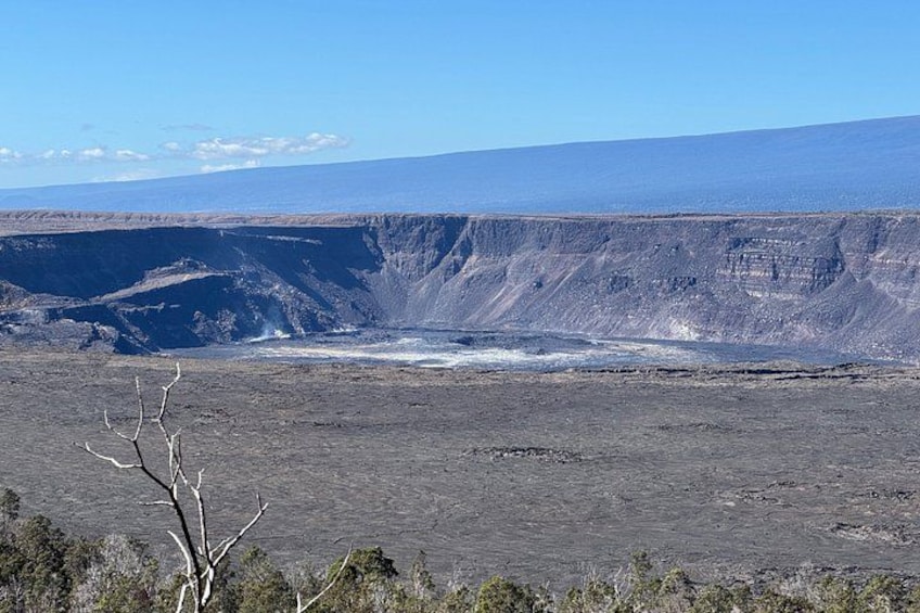 Hilo Shore Excursion: Punaluu Black Sand Beach, Volcano, & Hilo 4
