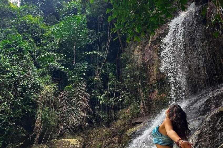 A waterfall in a forested area with dense vegetation. 2
