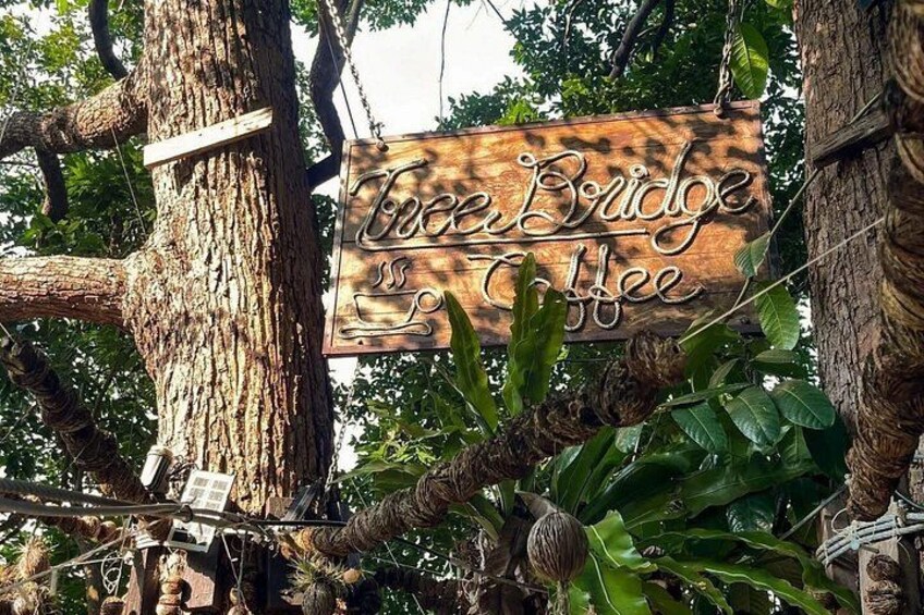 A wooden sign with the text 'Tree Bridge Coffee' hanging from a tree. 3