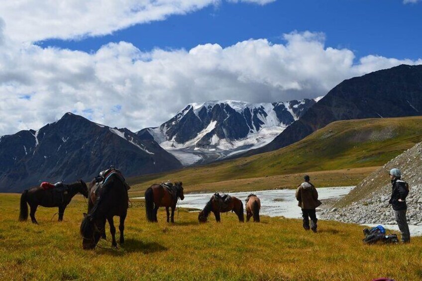 Horses grazing in a field with mountains in the background. 1