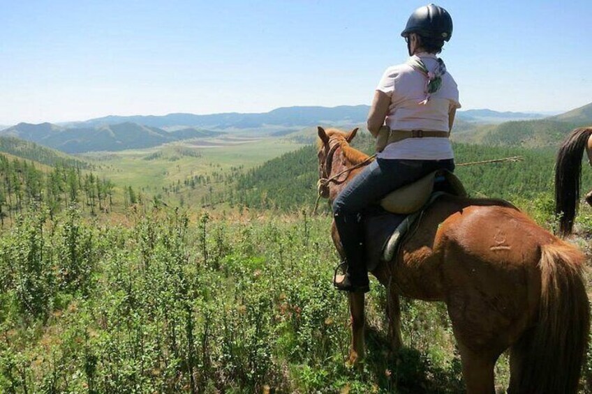 A person riding a horse on a grassy hillside with a view of distant mountains. 3