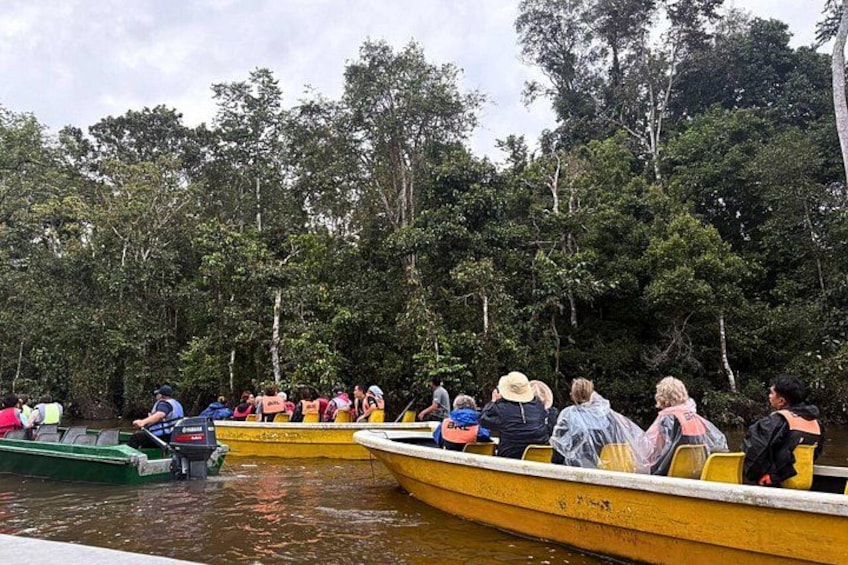 People on small boats in a forested area. 1