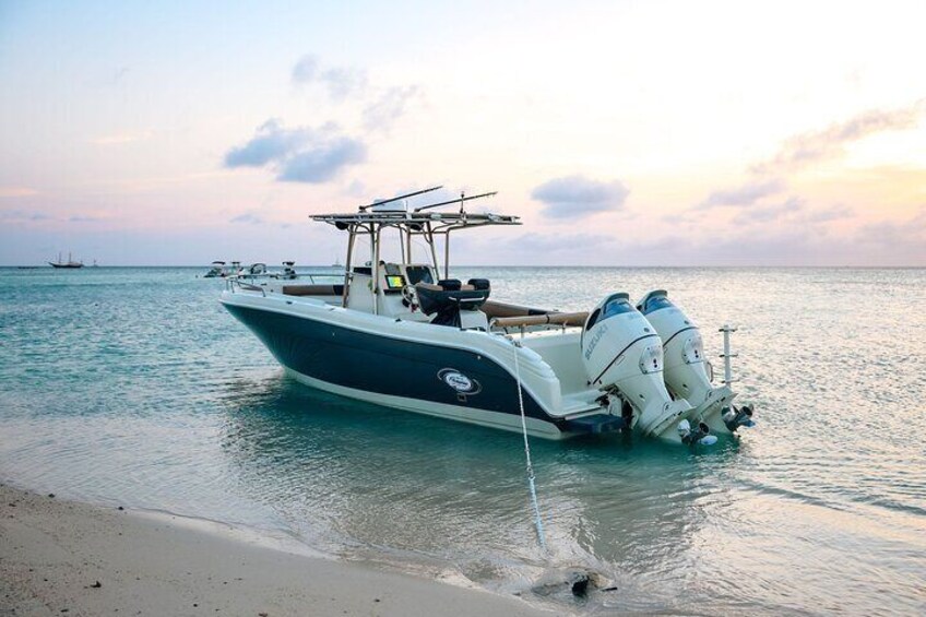 3 Hours Private Charter Includes Snorkeling & Swim with turtles 1