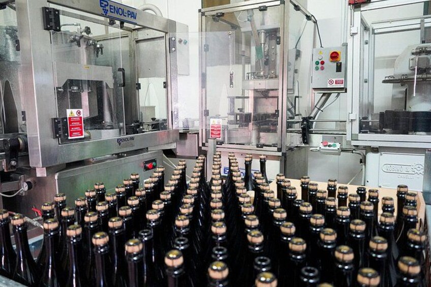 From Bologna: Brunch, balsamic vinegar and wines in Food Valley 5