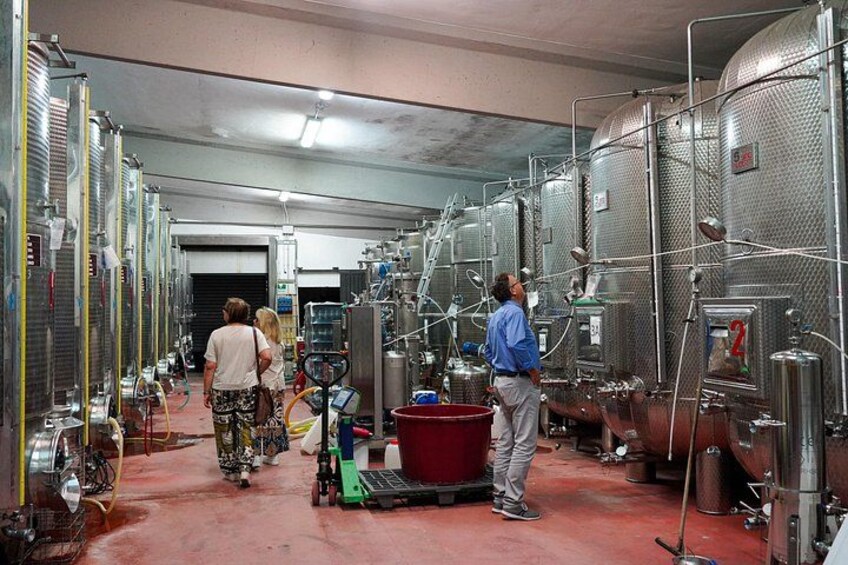 From Bologna: Brunch, balsamic vinegar and wines in Food Valley 4