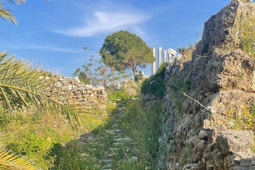 A stone pathway leading to ancient ruins with columns and a tree in the background. 1