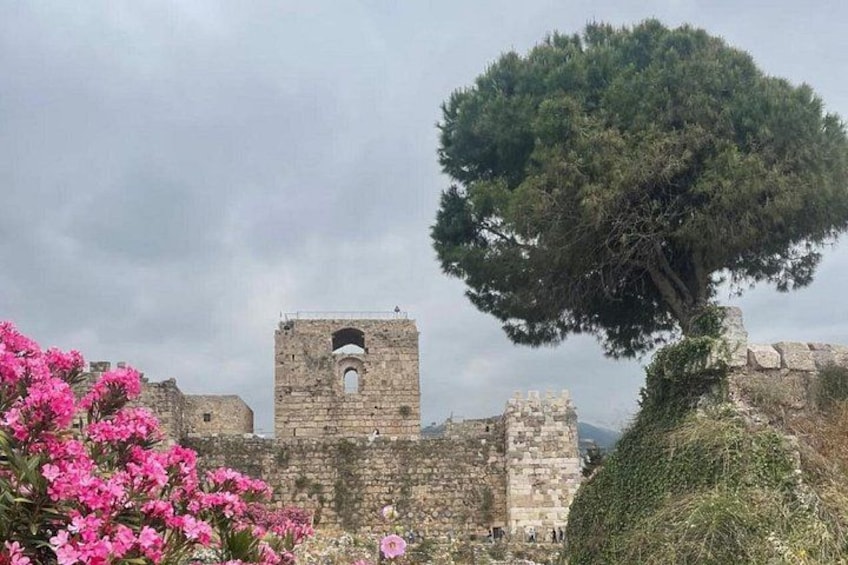 A historic stone tower, a large tree, and pink flowers. 4