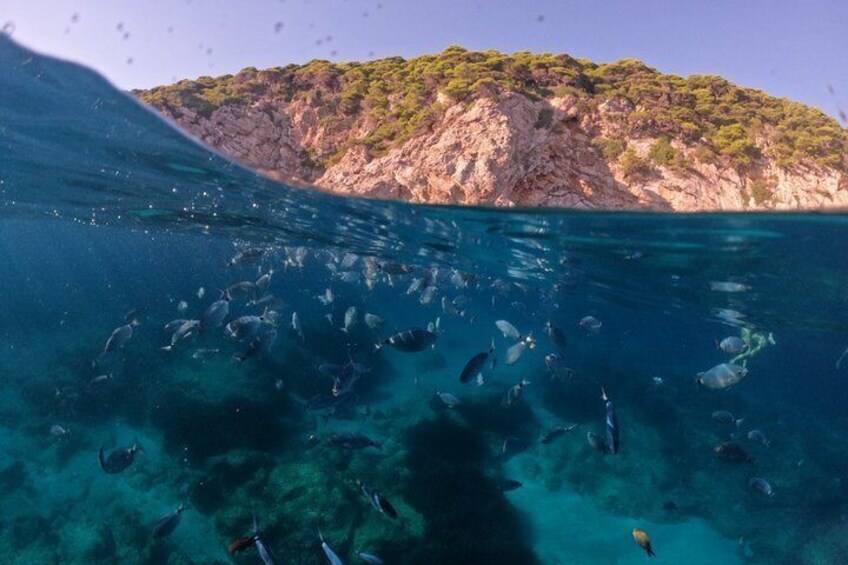A clear underwater view of a rocky coastline with a group of fish swimming near the surface. 2