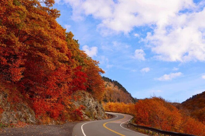 A winding road with autumn foliage, a clear sky, and a mountain in the background. 3