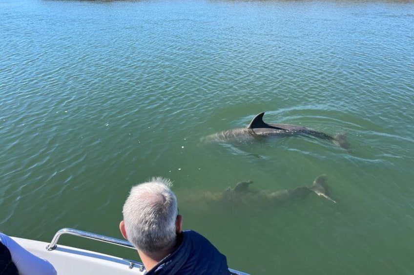 Private Dolphin Watch, Lighthouse and Ecological Boat Tours 1