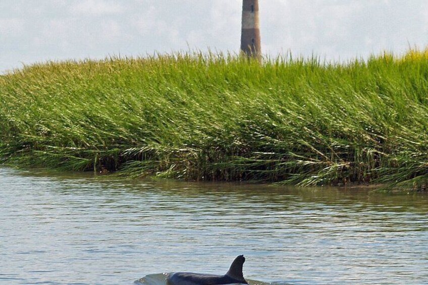 Private Dolphin Watch, Lighthouse and Ecological Boat Tours 2