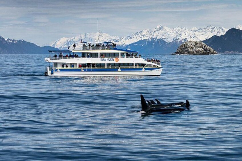 A boat named 'Lena Fjords' on calm waters with a mountainous backdrop. 1
