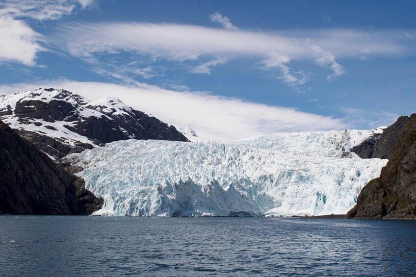 Kenai Fjords National Park Glacier & Wildlife Cruise 2